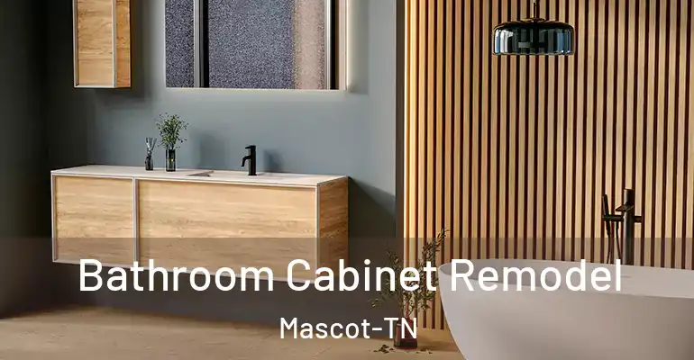 inner Bathroom imggen Bathroom Cabinet Remodel Mascot-TN