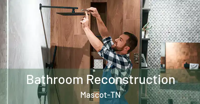inner Bathroom imggen Bathroom Reconstruction Mascot-TN
