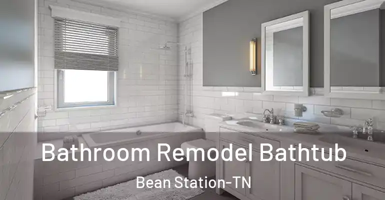inner Bathroom imggen Bathroom Remodel Bathtub Bean Station-TN