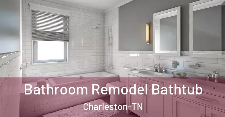 inner Bathroom imggen Bathroom Remodel Bathtub Charleston-TN