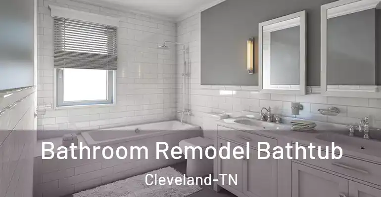 inner Bathroom imggen Bathroom Remodel Bathtub Cleveland-TN