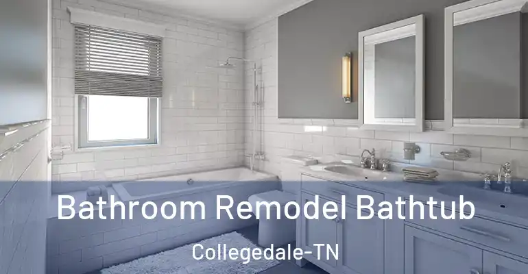 inner Bathroom imggen Bathroom Remodel Bathtub Collegedale-TN