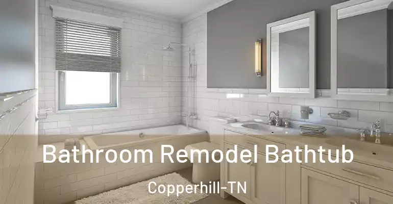 inner Bathroom imggen Bathroom Remodel Bathtub Copperhill-TN