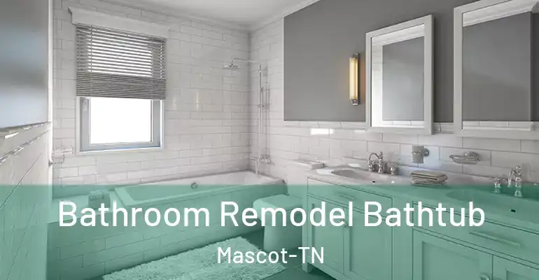 inner Bathroom imggen Bathroom Remodel Bathtub Mascot-TN