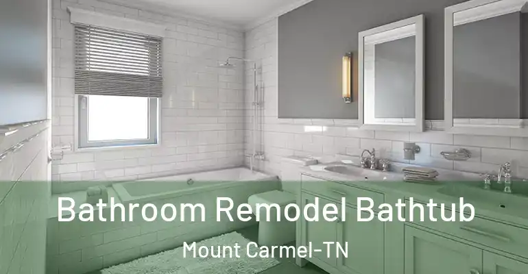 inner Bathroom imggen Bathroom Remodel Bathtub Mount Carmel-TN