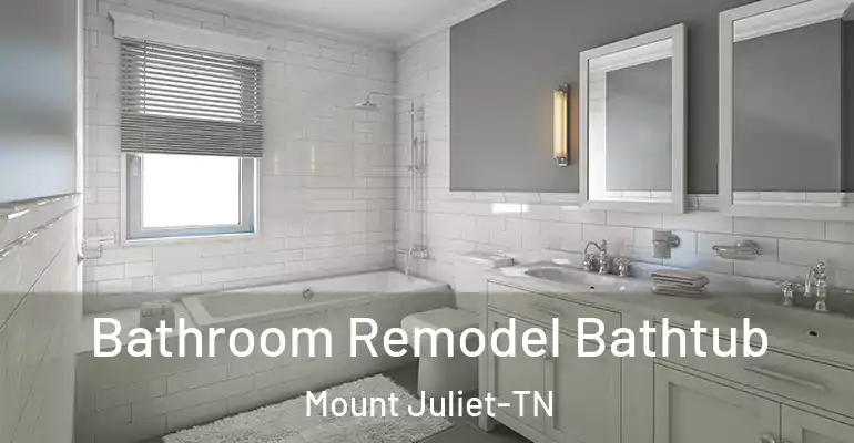 inner Bathroom imggen Bathroom Remodel Bathtub Mount Juliet-TN