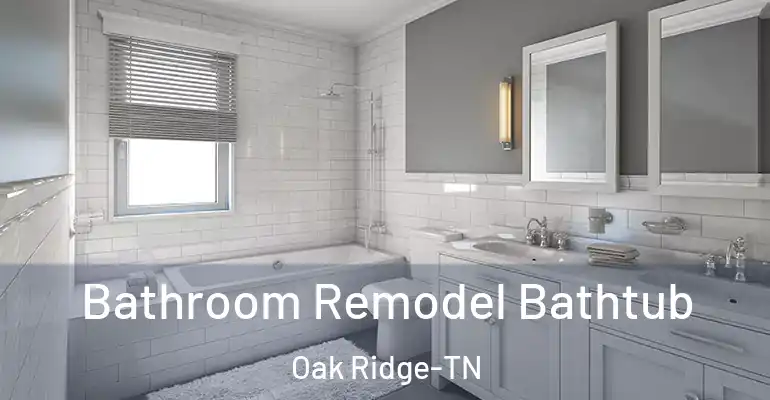 inner Bathroom imggen Bathroom Remodel Bathtub Oak Ridge-TN