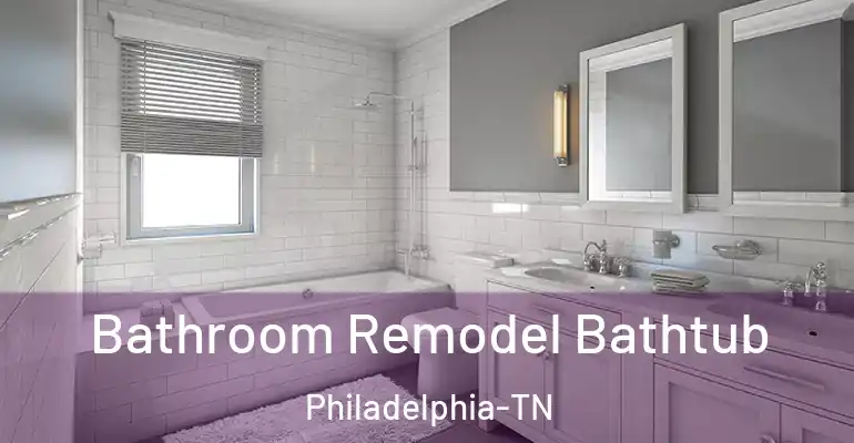 inner Bathroom imggen Bathroom Remodel Bathtub Philadelphia-TN