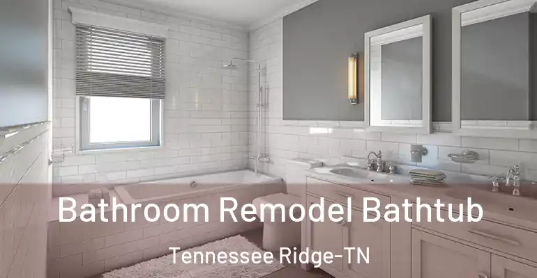 inner Bathroom imggen Bathroom Remodel Bathtub Tennessee Ridge-TN