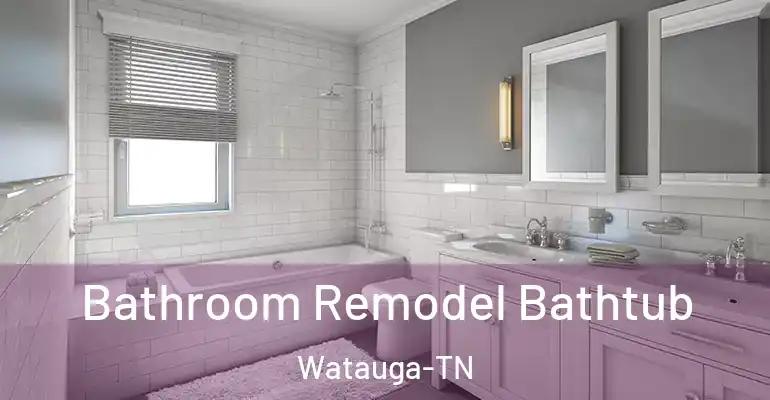 inner Bathroom imggen Bathroom Remodel Bathtub Watauga-TN