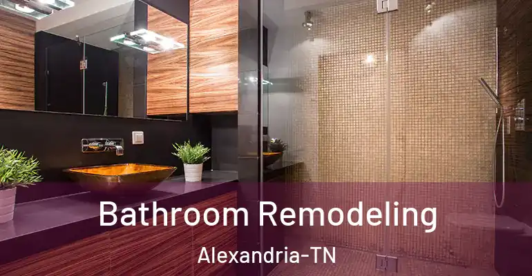 inner Bathroom imggen Bathroom Remodeling Alexandria-TN