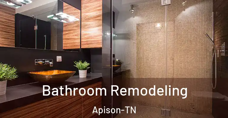 inner Bathroom imggen Bathroom Remodeling Apison-TN