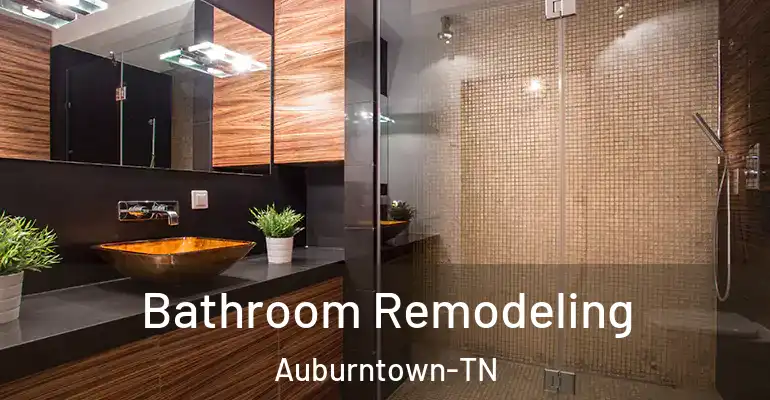 inner Bathroom imggen Bathroom Remodeling Auburntown-TN