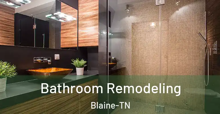 inner Bathroom imggen Bathroom Remodeling Blaine-TN