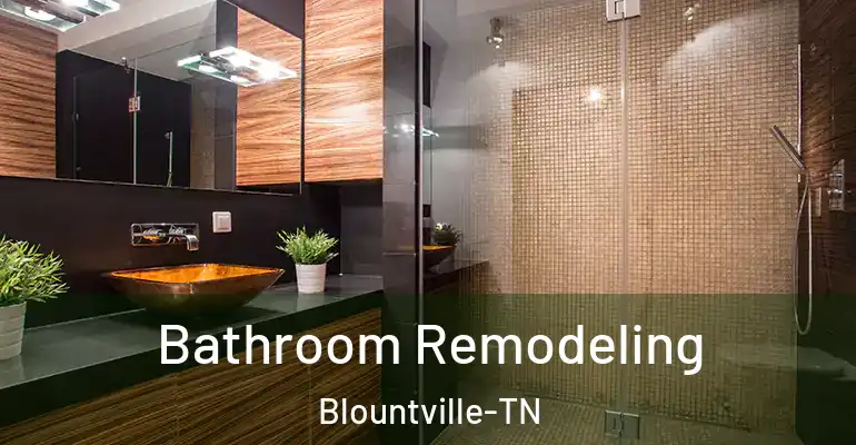inner Bathroom imggen Bathroom Remodeling Blountville-TN