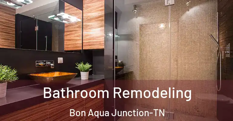 inner Bathroom imggen Bathroom Remodeling Bon Aqua Junction-TN