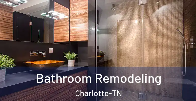 inner Bathroom imggen Bathroom Remodeling Charlotte-TN