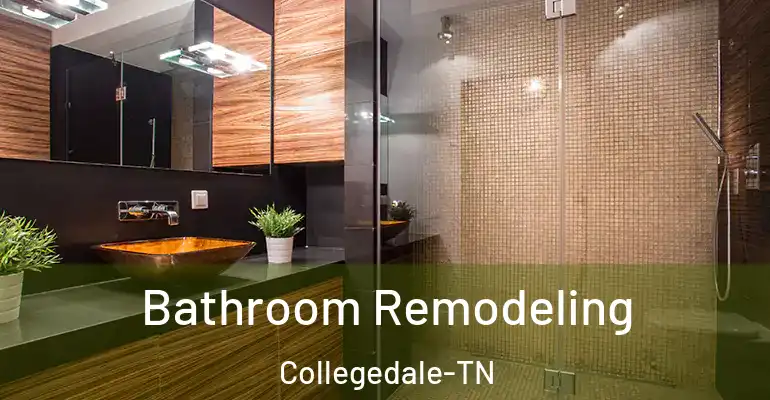 inner Bathroom imggen Bathroom Remodeling Collegedale-TN