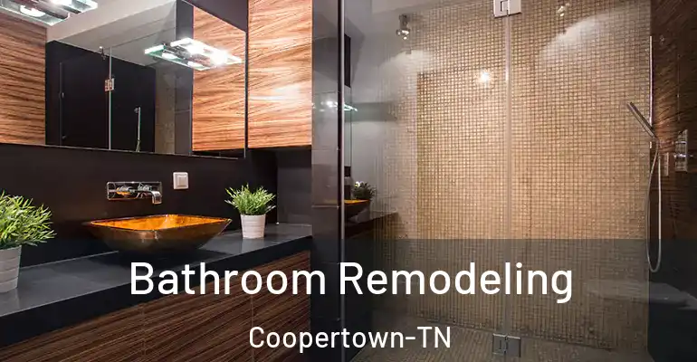 inner Bathroom imggen Bathroom Remodeling Coopertown-TN