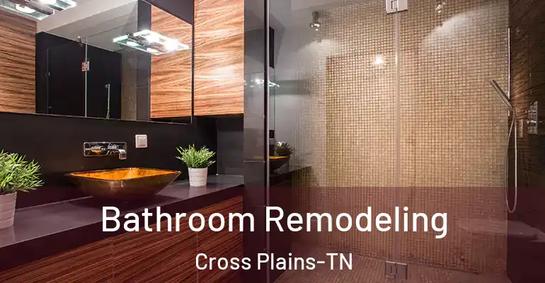 inner Bathroom imggen Bathroom Remodeling Cross Plains-TN