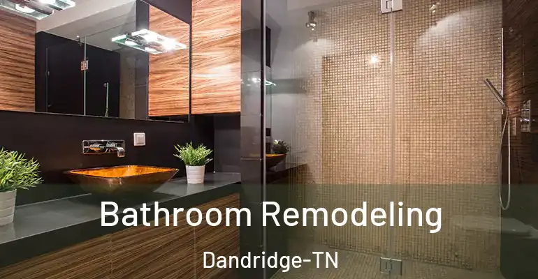 inner Bathroom imggen Bathroom Remodeling Dandridge-TN