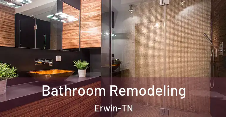 inner Bathroom imggen Bathroom Remodeling Erwin-TN