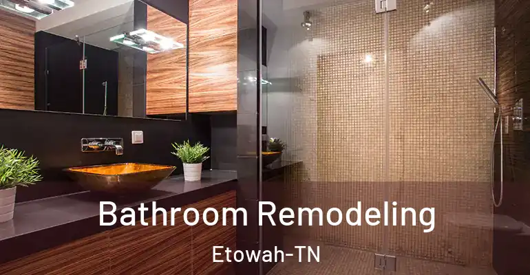 inner Bathroom imggen Bathroom Remodeling Etowah-TN