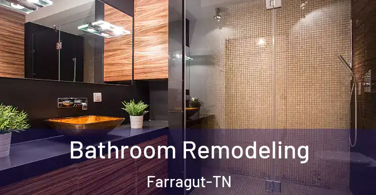 inner Bathroom imggen Bathroom Remodeling Farragut-TN