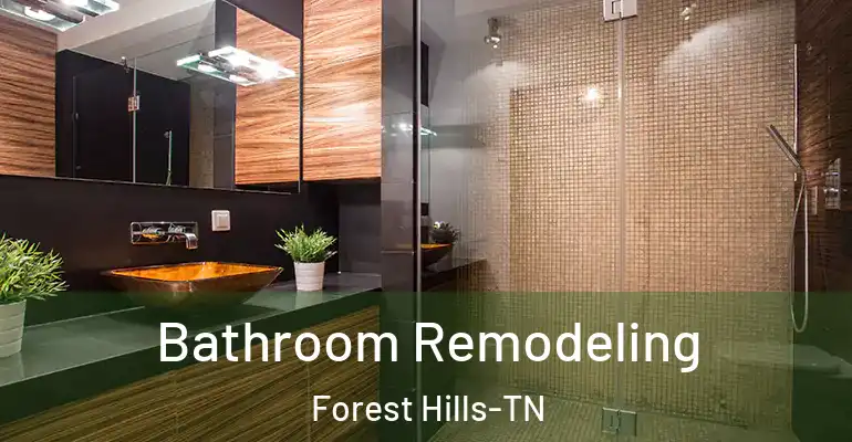 inner Bathroom imggen Bathroom Remodeling Forest Hills-TN