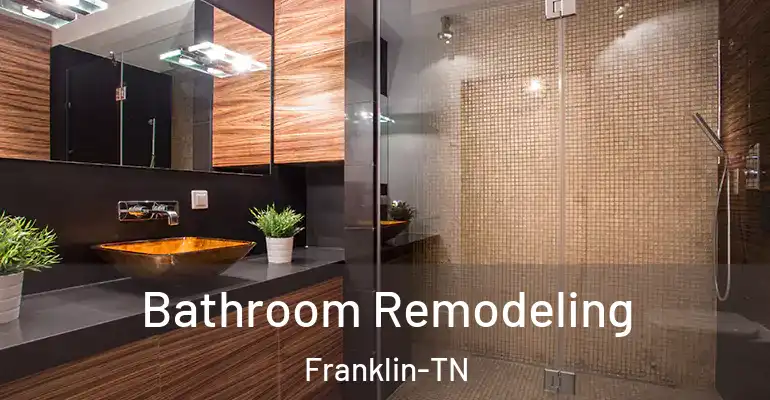 inner Bathroom imggen Bathroom Remodeling Franklin-TN