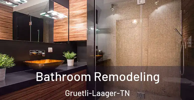 inner Bathroom imggen Bathroom Remodeling Gruetli-Laager-TN