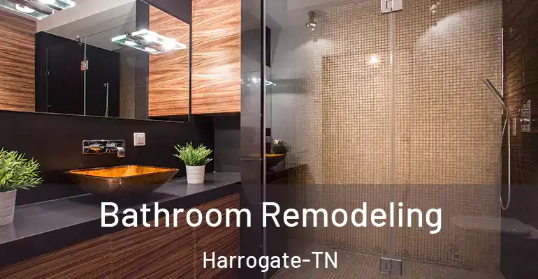 inner Bathroom imggen Bathroom Remodeling Harrogate-TN