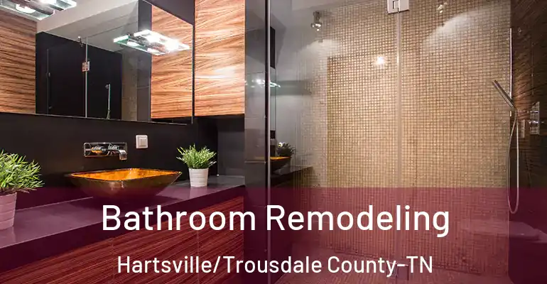 inner Bathroom imggen Bathroom Remodeling Hartsville/Trousdale County-TN