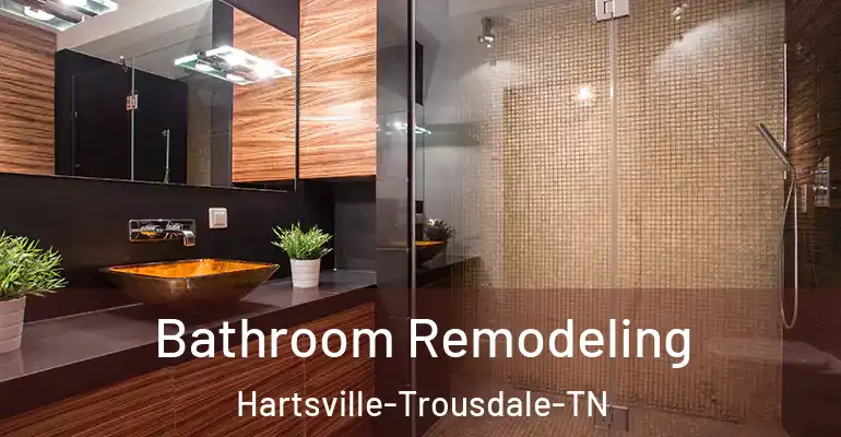 inner Bathroom imggen Bathroom Remodeling Hartsville-Trousdale-TN