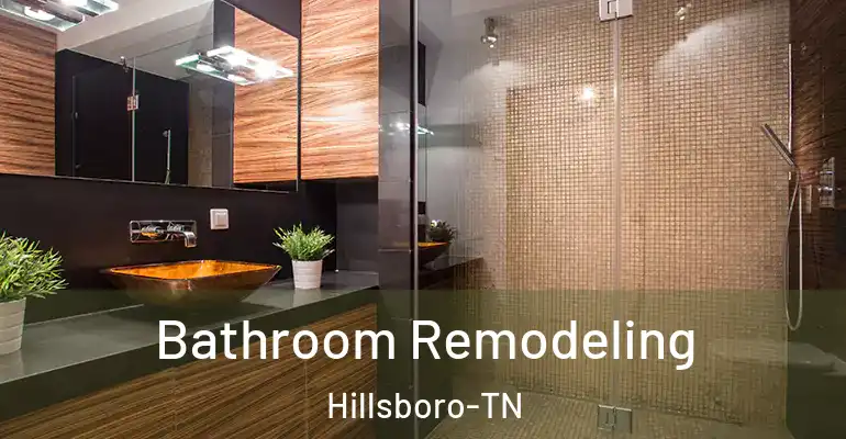 inner Bathroom imggen Bathroom Remodeling Hillsboro-TN
