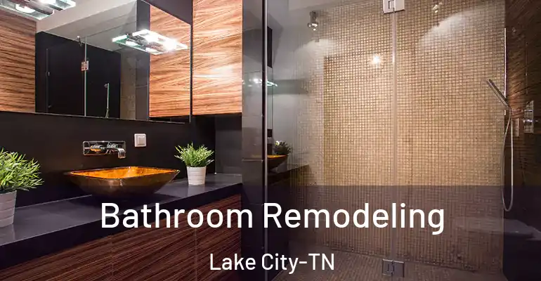 inner Bathroom imggen Bathroom Remodeling Lake City-TN