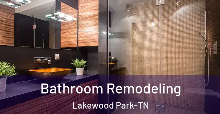 inner Bathroom imggen Bathroom Remodeling Lakewood Park-TN
