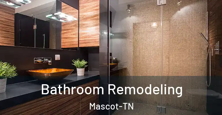 inner Bathroom imggen Bathroom Remodeling Mascot-TN