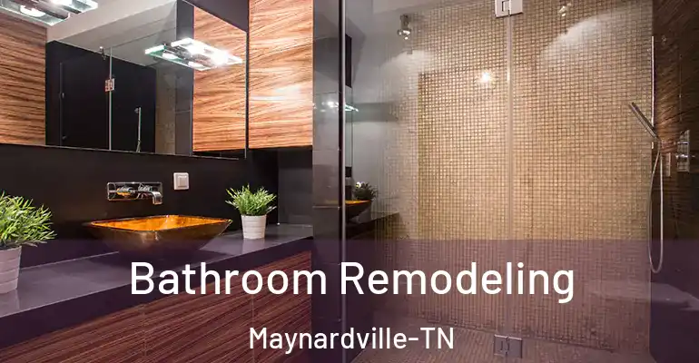 inner Bathroom imggen Bathroom Remodeling Maynardville-TN