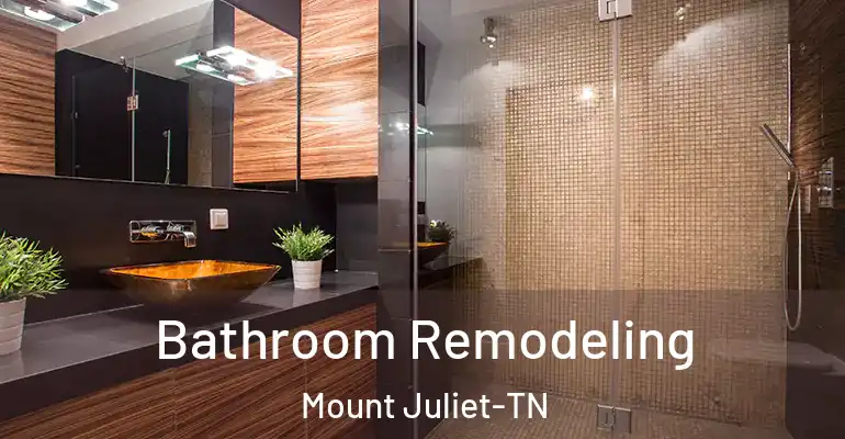 inner Bathroom imggen Bathroom Remodeling Mount Juliet-TN
