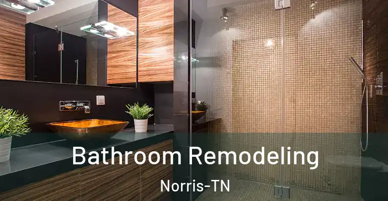 inner Bathroom imggen Bathroom Remodeling Norris-TN