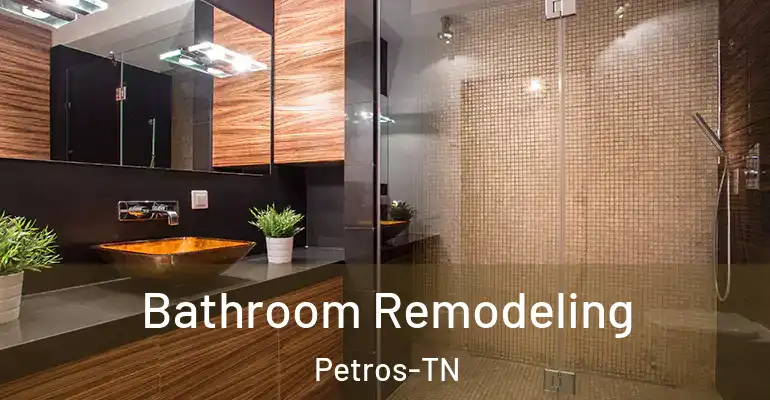 inner Bathroom imggen Bathroom Remodeling Petros-TN