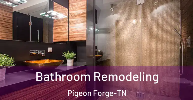 inner Bathroom imggen Bathroom Remodeling Pigeon Forge-TN