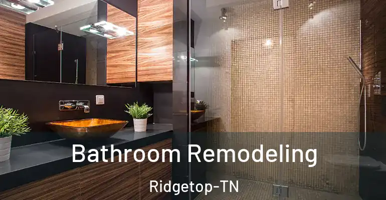 inner Bathroom imggen Bathroom Remodeling Ridgetop-TN