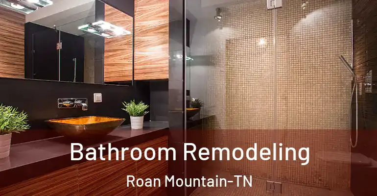 inner Bathroom imggen Bathroom Remodeling Roan Mountain-TN