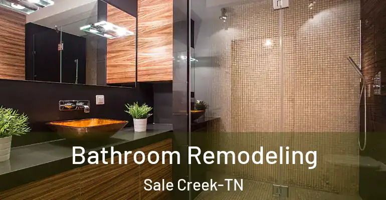 inner Bathroom imggen Bathroom Remodeling Sale Creek-TN
