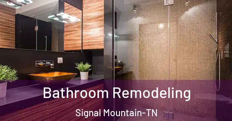 inner Bathroom imggen Bathroom Remodeling Signal Mountain-TN