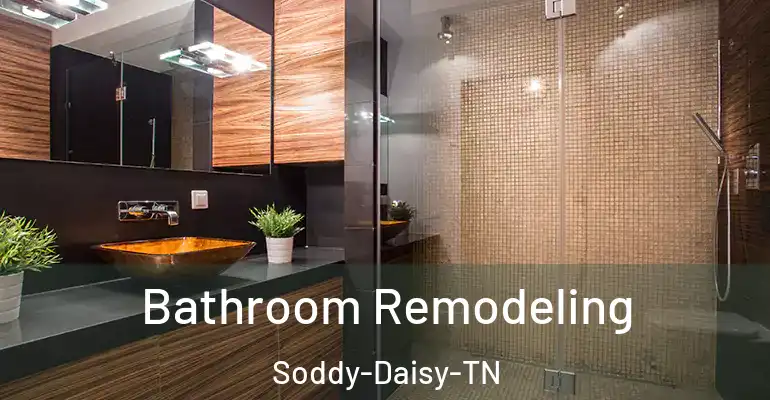 inner Bathroom imggen Bathroom Remodeling Soddy-Daisy-TN