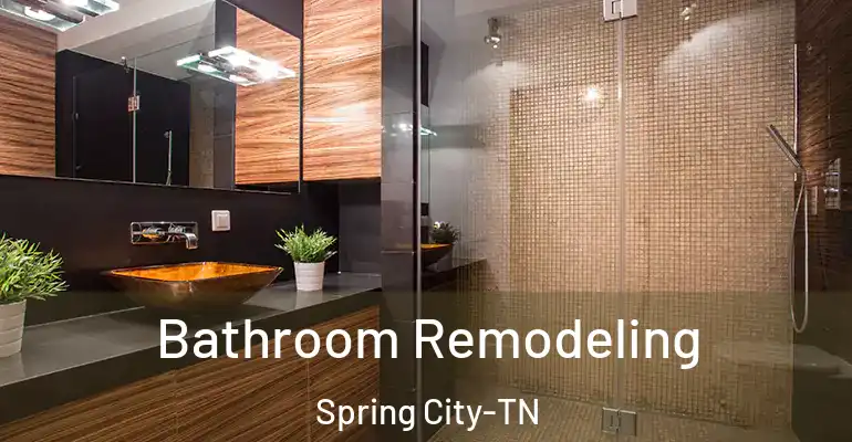 inner Bathroom imggen Bathroom Remodeling Spring City-TN