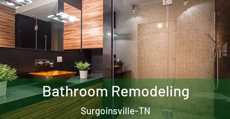 inner Bathroom imggen Bathroom Remodeling Surgoinsville-TN